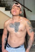 Foto Adonis Xxl Boy Taranto 324 6012860 - 1