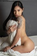 Foto Akita Trans Asiatica Transescort Padova 389 4245796 - 1