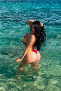 Foto Alessandra Xxii Transescort Gallarate 331 7852006 - 41