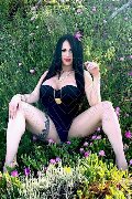 Foto Alessandra Xxii Transescort Gallarate 331 7852006 - 61