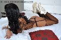 Foto Aline Fenaroly Trans Milano 320 7485765 - 353