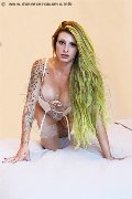 Foto Ally Costa Trans Milano 344 6988792 - 21