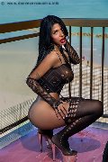 Foto Anaconda Grande Transescort Pescara 327 7795720 - 1