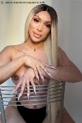 Foto Angel Bunny Trans Milano 347 4642611 - 1