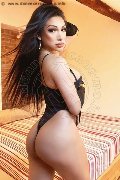 Foto Angel Bunny Transescort Milano 347 4642611 - 33