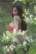 Foto Angell Trans Cinisello Balsamo 333 9242519 - 4