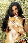 Foto Ariadna Trans Bologna 388 7519396 - 62