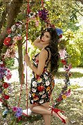 Foto Ariadna Trans Bologna 388 7519396 - 76