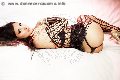 Foto Bella Solare Transescort Bassano Del Grappa 329 6873062 - 5