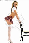 Foto Brandy Trans 388 3860479 - 98