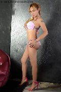 Foto Brandy Trans 388 3860479 - 76