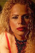Foto Brigitte D. Trans Roma 366 3333355 - 3