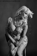 Foto Brigitte Transescort Isernia 334 8343377 - 24