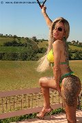 Foto Bruna Xxl Trans Parma 329 5914684 - 5
