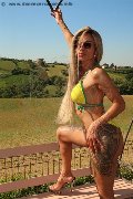 Foto Bruna Xxl Trans Parma 329 5914684 - 4