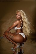 Foto Campbell Transescort Padova 393 3357541 - 101