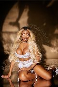 Foto Campbell Transescort Padova 393 3357541 - 95