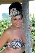 Foto Daysy Trans Gallarate 339 3389602 - 1