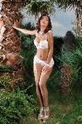 Foto Deborah Delizia Trans Catania 320 5576626 - 19