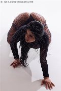 Foto Erika Girl Avellino 338 5964983 - 17