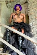 Foto Erotika Flavy Star Trans Bergamo 338 7927954 - 56