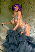 Foto Erotika Flavy Star Transescort Bergamo 338 7927954 - 85