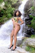 Foto Estrella Trans Torino 380 1783164 - 93