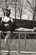 Foto Eva Lux Mistresstrans Viareggio 327 1186085 - 44
