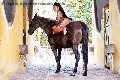 Foto Gabriellaxxl Brasile Trans Milano 329 2213799 - 69