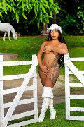 Foto Gabriellaxxl Brasile Trans Milano 329 2213799 - 14
