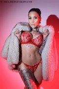 Foto Gaby Manzini Trans Milano 393 1497296 - 39