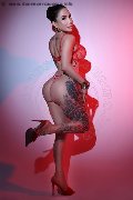 Foto Gaby Manzini Trans Milano 393 1497296 - 41