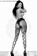 Foto Graicy Ohara Pornostar Trans Colonnella 389 7696422 - 6
