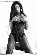 Foto Graicy Ohara Pornostar Trans Colonnella 389 7696422 - 9