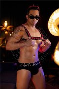 Foto Harry Dotato Boy Bologna 393 2513795 - 2
