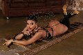 Foto Hillana Maya Trans Parma 351 5831873 - 7