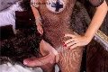 Foto Hot Ale Cavallona Trans Legnano 350 8935739 - 12