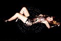 Foto Hot Brandy Trans 388 3860479 - 2