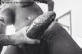 Foto Hot Paula Xxl Transescort Cannes 376 2961336 - 7