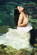 Foto Hot Victoria Luxo Trans 0041 766140309 - 1