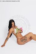 Foto Ilary Dior Girl Catanzaro 342 5761091 - 4