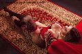 Foto Isabella Santos Trans Catania 338 1521054 - 43