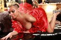 Foto Italo Argentina Bionda Massagiatrice Transescort Piacenza 333 9004687 - 10