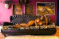 Foto Jessica Aryani Transescort Brescia 393 2507943 - 18