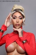 Foto Karollayne Arruda Trans Milano 327 7205075 - 41