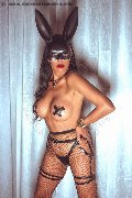 Foto Kartika Trans Bergamo 349 2231753 - 45