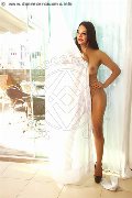 Foto Kartika Trans Bergamo 349 2231753 - 125
