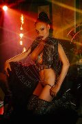 Foto Kartika Trans Bergamo 349 2231753 - 6