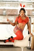 Foto Kate Travescort Milano 351 9323214 - 20