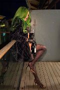 Foto Kika Doncato Trans Verona 393 7317905 - 28